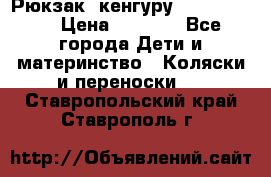 Рюкзак -кенгуру Baby Bjorn  › Цена ­ 2 000 - Все города Дети и материнство » Коляски и переноски   . Ставропольский край,Ставрополь г.